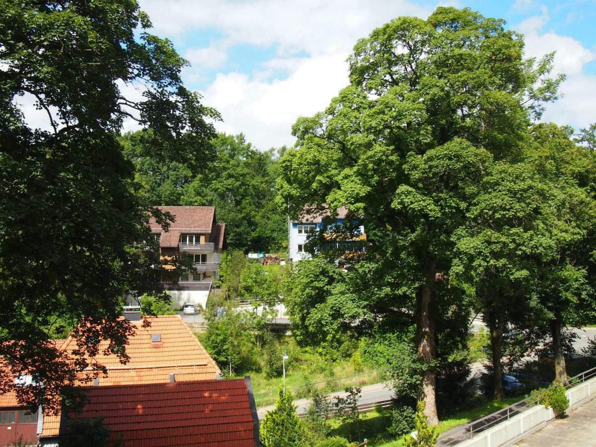 Apartment Harzgrün Sankt Andreasberg Exterior foto